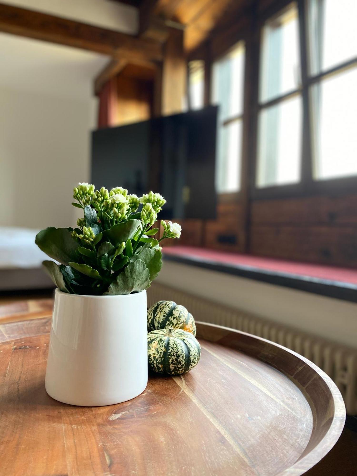 Apartmenthaus Eurenerstrasse 179 Trier Eksteriør billede